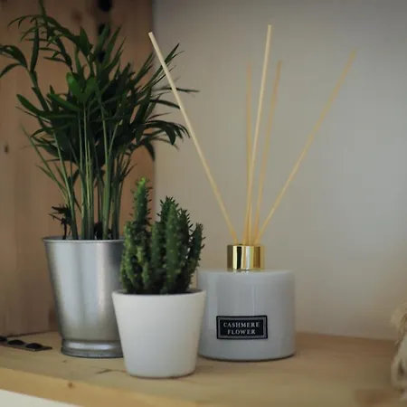 Le 8 - Mini Studio Au Jardin De Ville * Grenoble